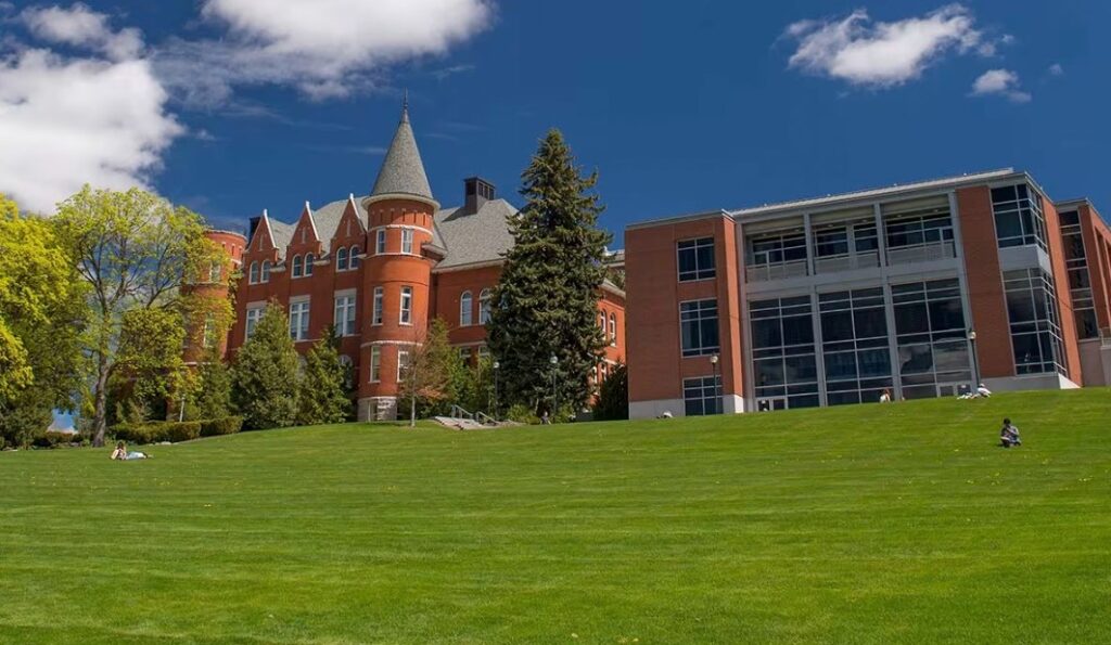 Professional-Experience-Requirements